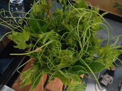 -东椰·海南椰子鸡火锅(朝阳门店)