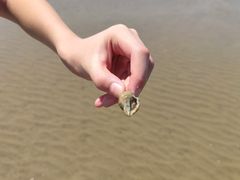 -南澳海滩