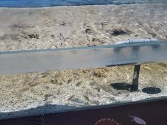 -沙沙哗啦海洋馆(华宇百花谷店)