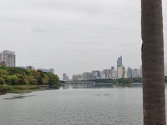 -南宁南湖公园