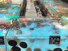 -苏先生海鲜渔庄(金桥店)