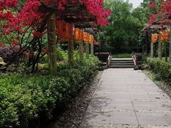-天赐温泉