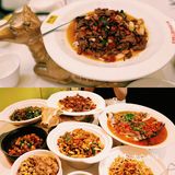 上海探店|排队🔥爆的湘菜，上海首家炊烟小炒黄牛肉