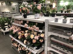 -宜家家居(哈尔滨商场店)