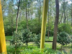 -合肥滨湖国家森林公园