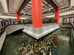 -龙悦湾酒家·八阵鱼生·渔人码头店