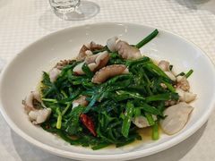 韭菜炒八爪鱼-双井轩(双井店)