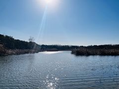 -同里国家湿地公园
