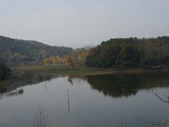 -千年银杏谷文化旅游区