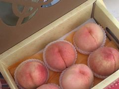 -老袁家蜜桃农场·阳山水蜜桃