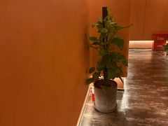 -霖公馆SPA·足道(普善路店)