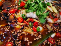 疯狂麻麻鱼-绿茶餐厅(成都大悦城店)