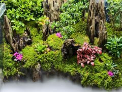 -金蚁康•经络调理•肩颈按摩(三山街店)