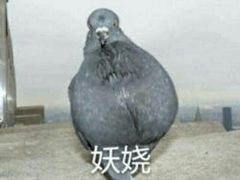 -浙江万里学院(钱湖校区)