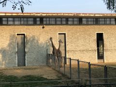 -石家庄市动物园