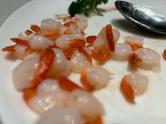 -蝶园·装修中(BFC外滩金融中心店)