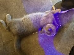 -解个谜沉浸剧情密室(天河店)