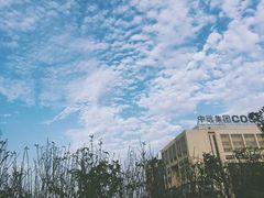 -上海海事大学(临港校区)