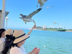 -海驴岛(荣成市)