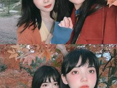 -田野绿世界