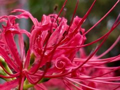 -白塘生态植物园