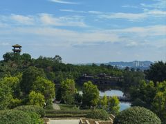 -张坝桂圆林公园