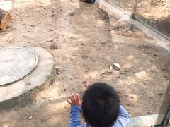 -无锡动物园·太湖欢乐园