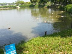 -上膳源有机农场