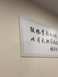 -上海玫瑰医疗美容医院