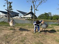 -盐城丹顶鹤湿地生态旅游区