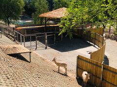 -北京鹿世界主题园