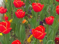 -无锡市市民中心