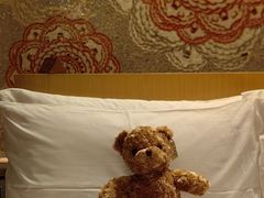 -香港港岛英迪格酒店