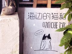-海边的猫和咖啡馆