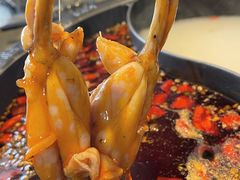 -销魂美蛙鱼头火锅(上海首店)