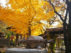 -北京水岸山吧度假村(雁栖镇店)