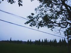 -艾溪湖湿地公园