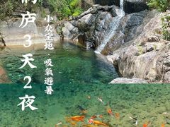-大奇山国家森林公园