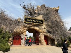 -大槐树寻根祭祖园