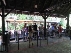 -奥兰多迪士尼动物王国乐园