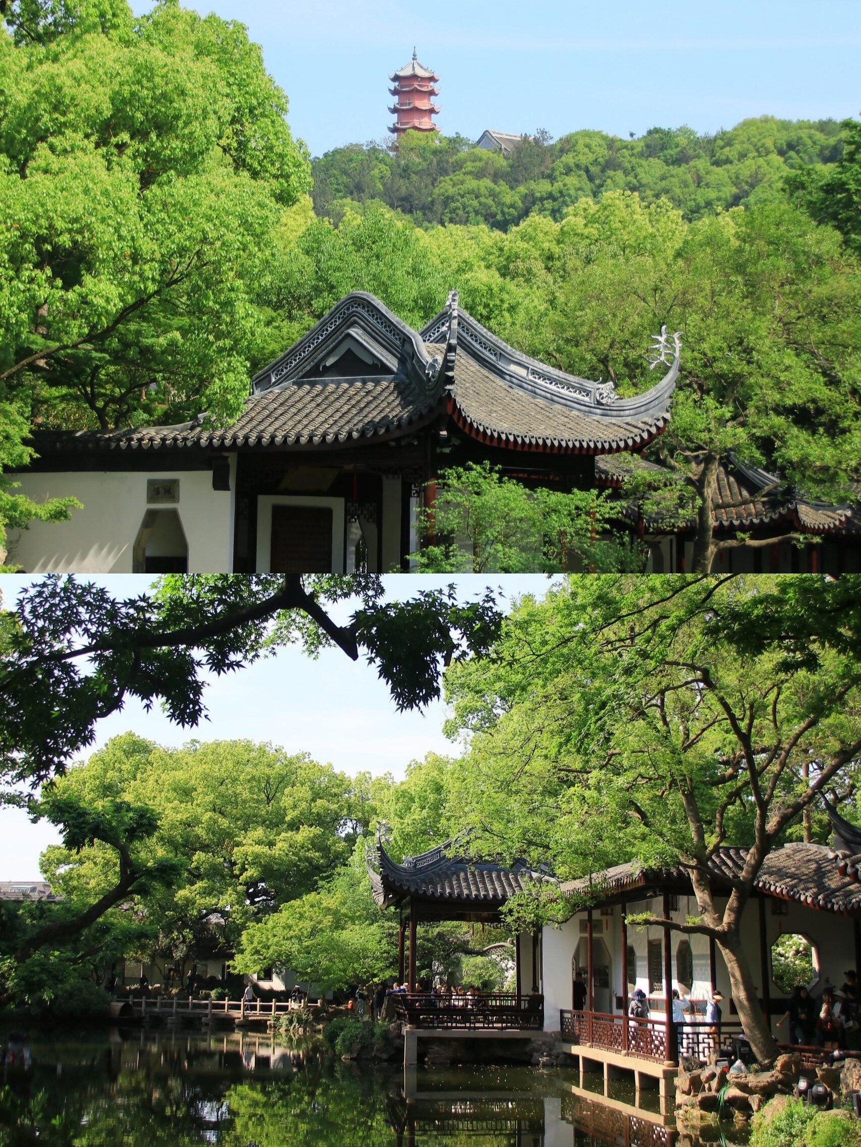 江南园林天花板!寄畅园的春色,藏着中国人浪漫