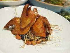 贡椒乳鸽王-南堂館川菜文化餐厅(天府店)