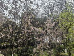 -南山植物园