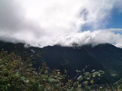 -霍顿平原国家公园