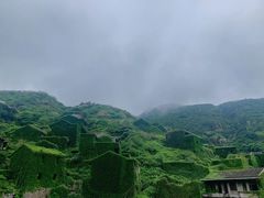 -枸杞岛