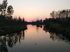 -溱湖国家湿地公园