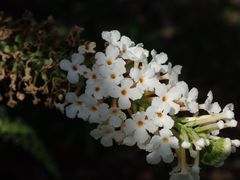 -苏州河梦清园环保主题公园