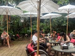 -Fern Forest Cafe