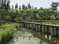 -东郊湿地公园