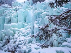 -九如山休闲旅游度假区